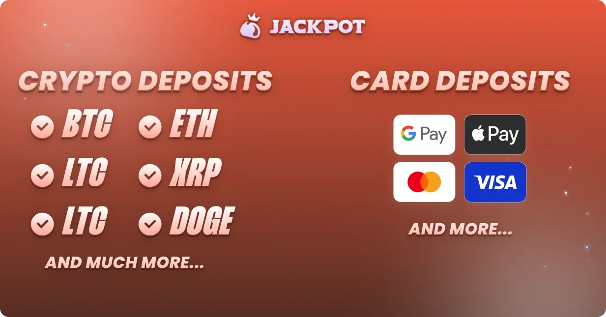 5 Lions payment methods