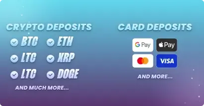 5 Wild Buffalo 2 payment methods