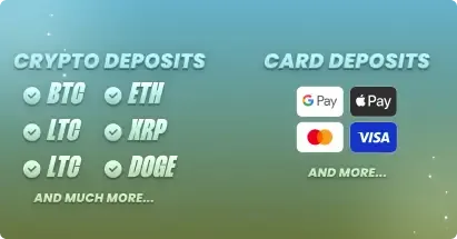 Duck Hunters payment methods