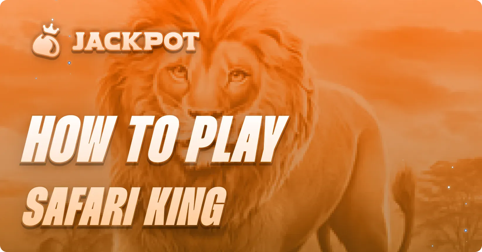 How to play Safari King at Jackpot