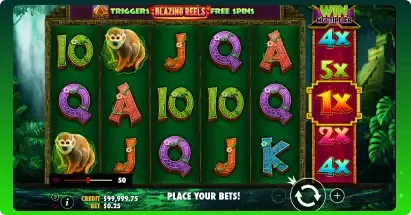 Panther Queen key features