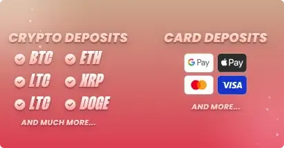 Wildies payment methods