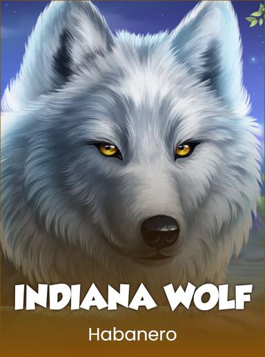 Indiana Wolf